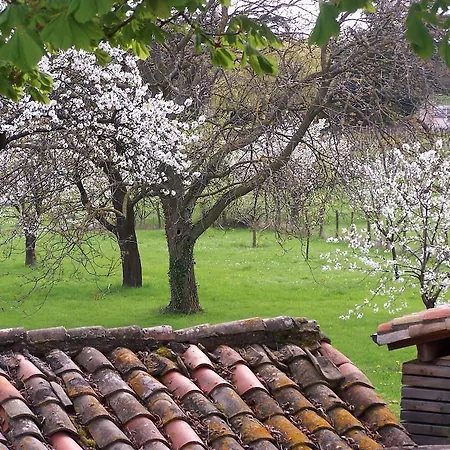 Clos De Pomeir Pommiers (Rhone)